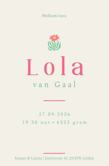 Geboortekaartje colorblocking Lola