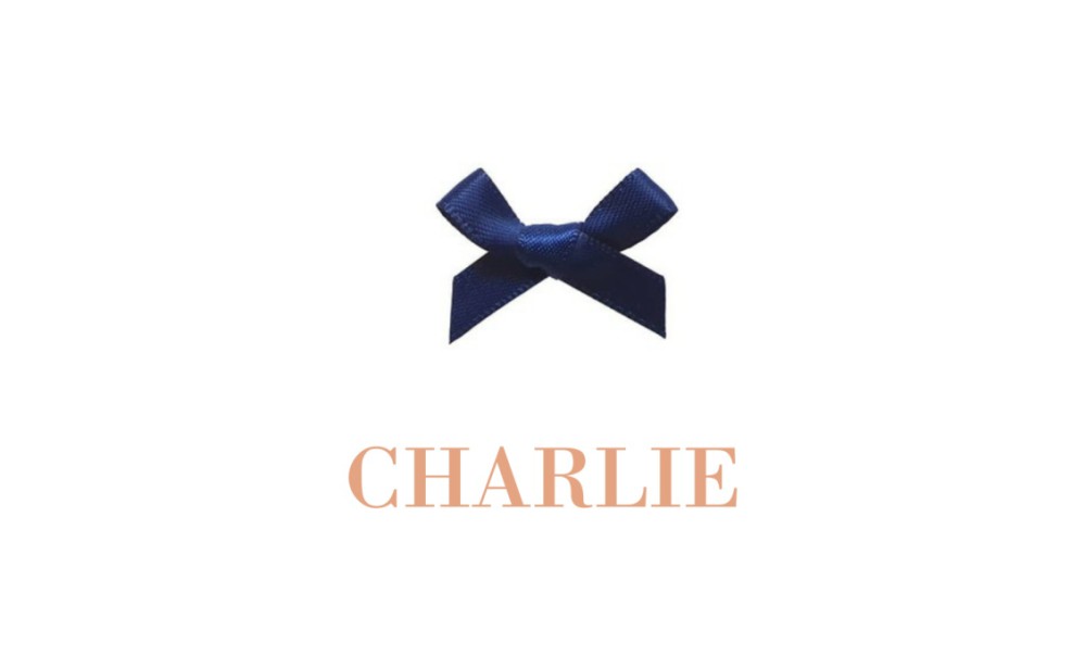 Klassiek geboortekaartje Charlie - folie optie