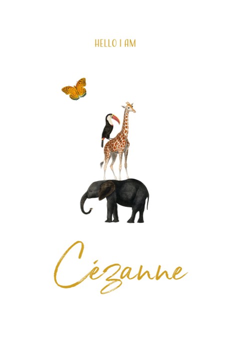 Geboortekaartje dierentoren Cézanne