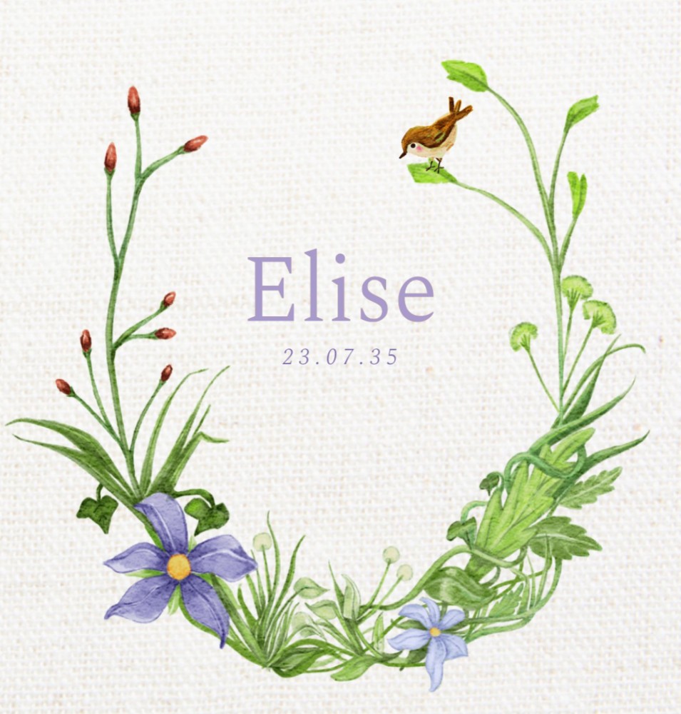 Geboortekaartje getekende planten, bloemen en vogels Elise