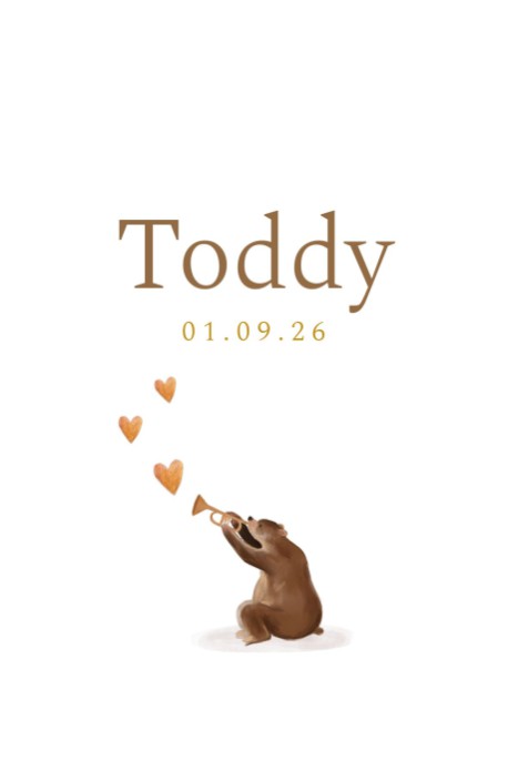 Geboortekaartje illustratie teddybeer Toddy