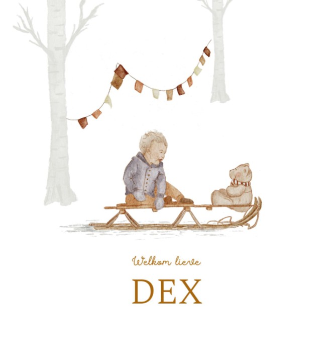 Geboortekaartje jongetje met beer op slee Dex
