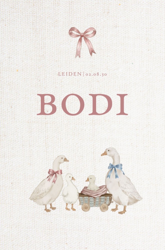 Geboortekaartje meisje ganzen gezin Bodi