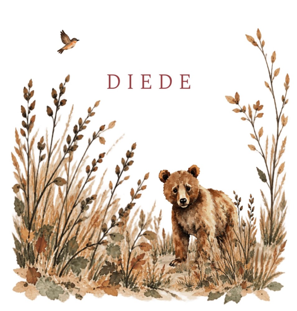 Geboortekaartje meisje herfst bladeren, beer en vogel Diede