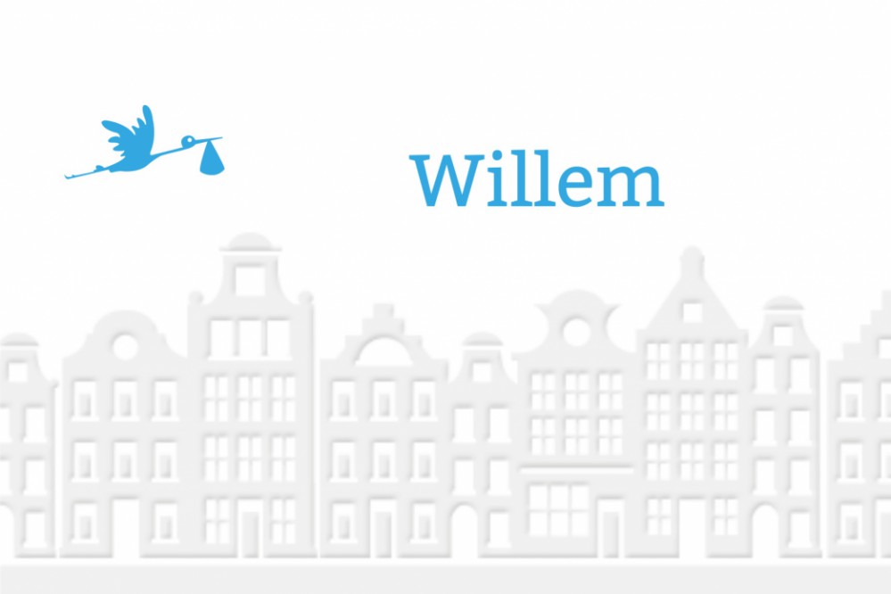 Geboortekaartje Willem met blindpreeg huizen