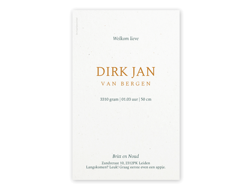 Geboortekaartje jongen beertje in boom Dirk