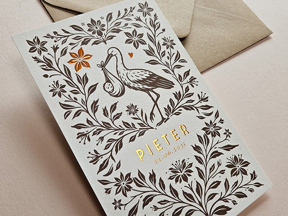 Klassiek geboortekaartje sprookjesstijl Pieter