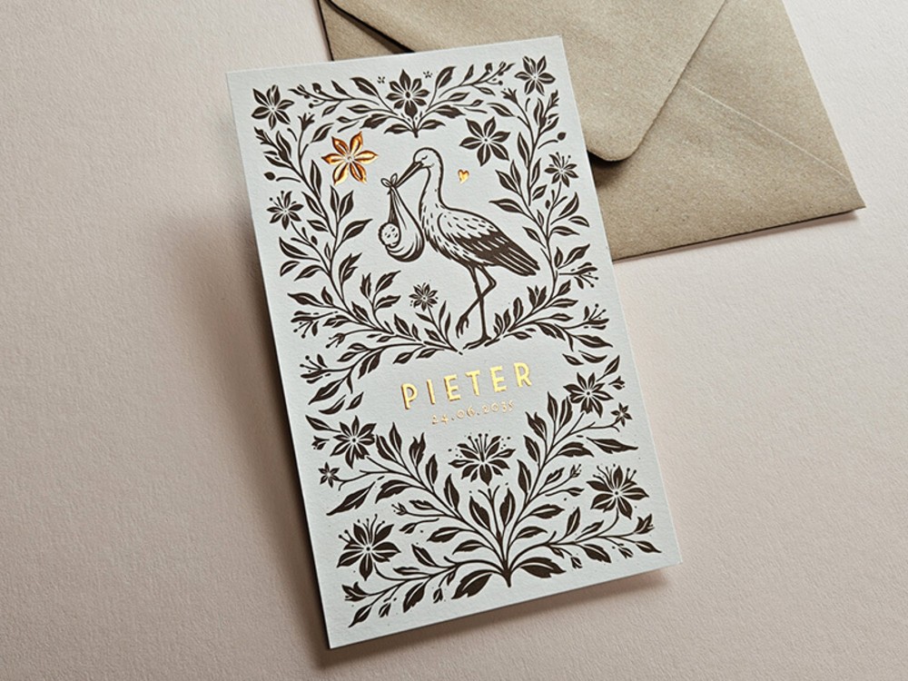 Klassiek geboortekaartje sprookjesstijl Pieter