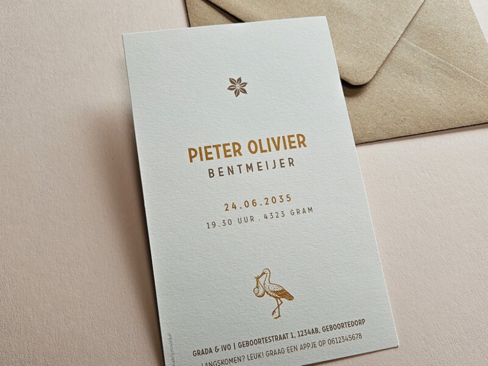 Klassiek geboortekaartje sprookjesstijl Pieter