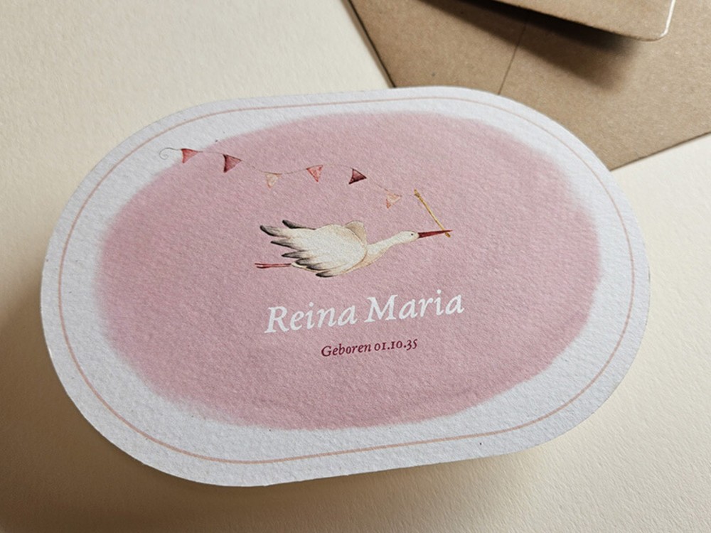 Geboortekaartje meisje ovaal ooievaar Reina