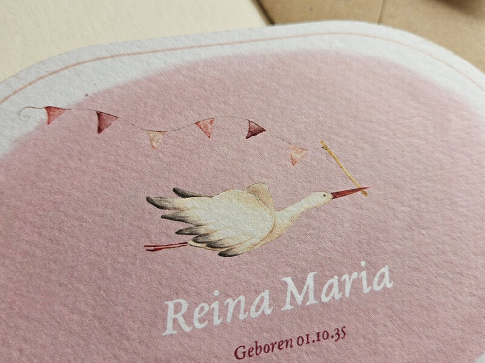 Geboortekaartje meisje ovaal ooievaar Reina