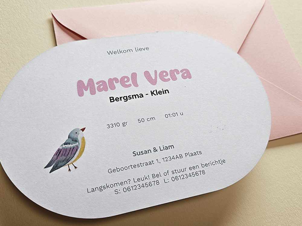 Geboortekaartje meisje ovaal vogel speelse letters Marel