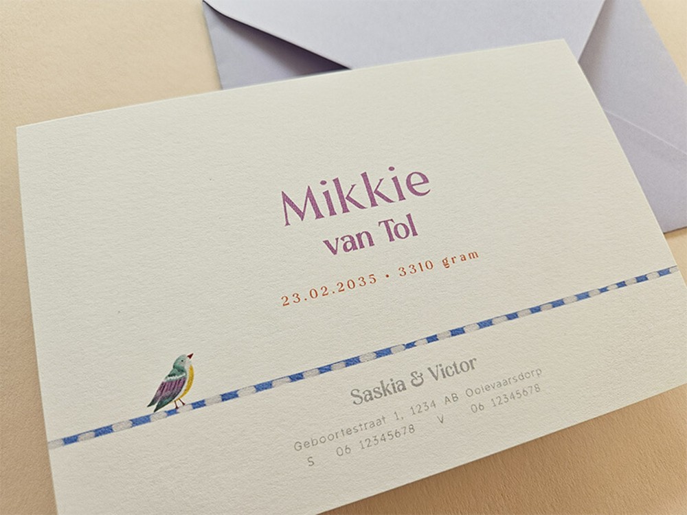Lief geboortekaartje met vogeltje in zachte kleuren Mikkie