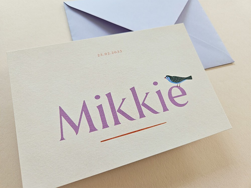 Lief geboortekaartje met vogeltje in zachte kleuren Mikkie