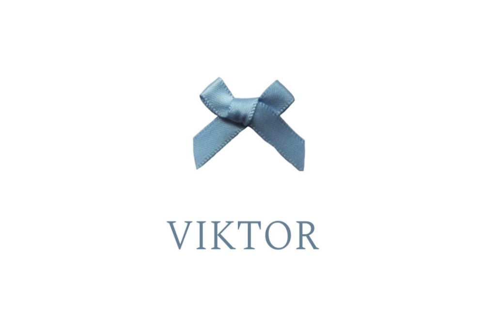 Klassiek en lief geboortekaartje Viktor