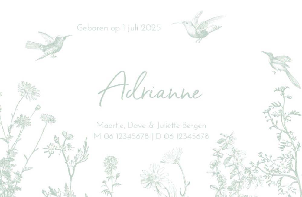 Geboortekaartje natuur Adrianne vogeltjes