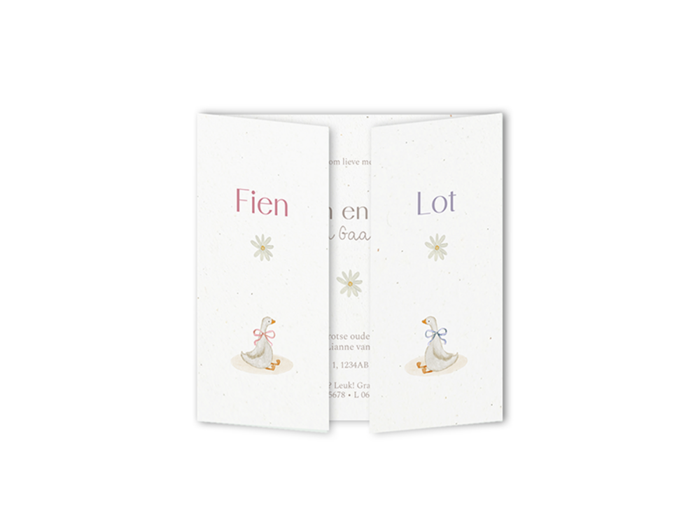 Tweeling geboortekaartje luikvouw Fien & Lot