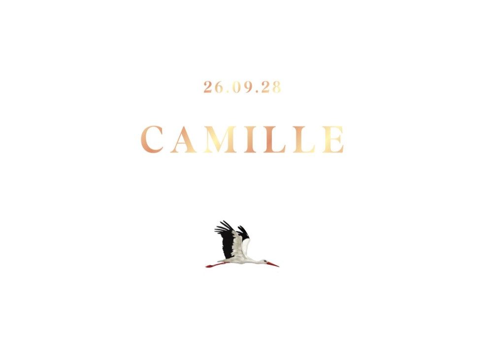 Minimalistisch geboortekaartje met getekende ooievaar Camille