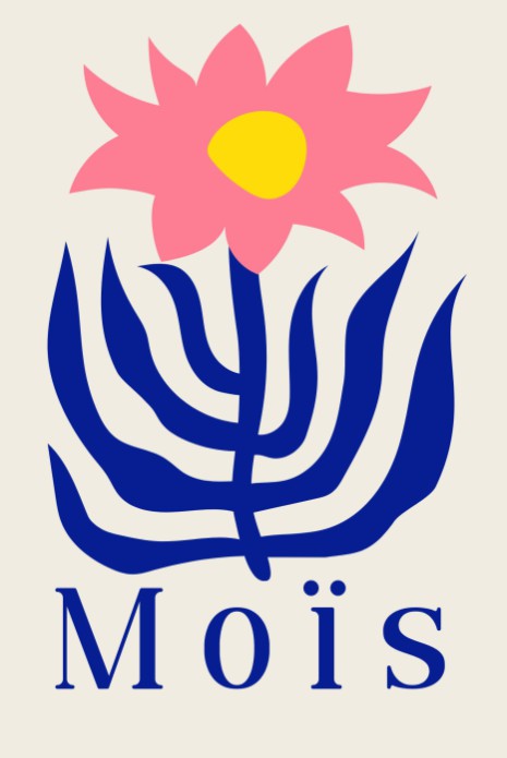 Moderne vormen met colorblocking Moïs