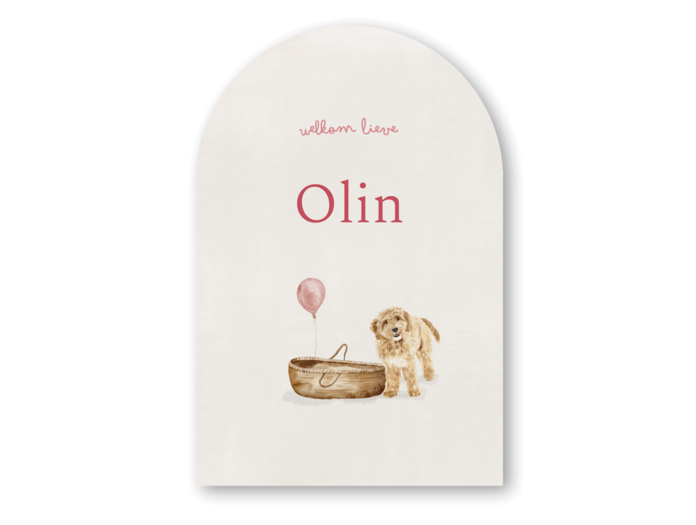 Geboortekaartje meisje met labradoodle, wiegje en roze ballon
