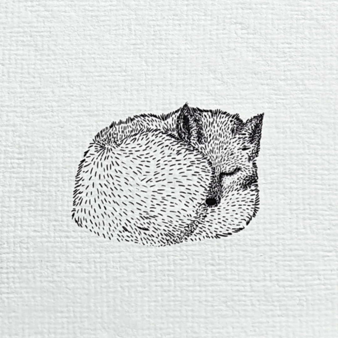 Prijsoptie 1 - illustratie zwart/wit